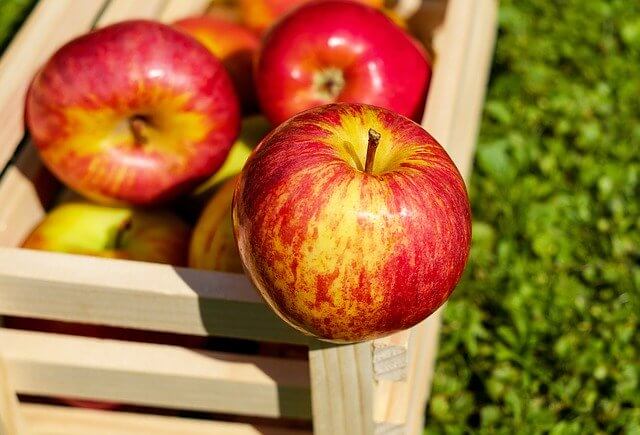 manfaat buah apel untuk orang sakit